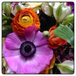 Känslig fråga och vardag