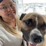 ME/CFS vs POSTCOVID?